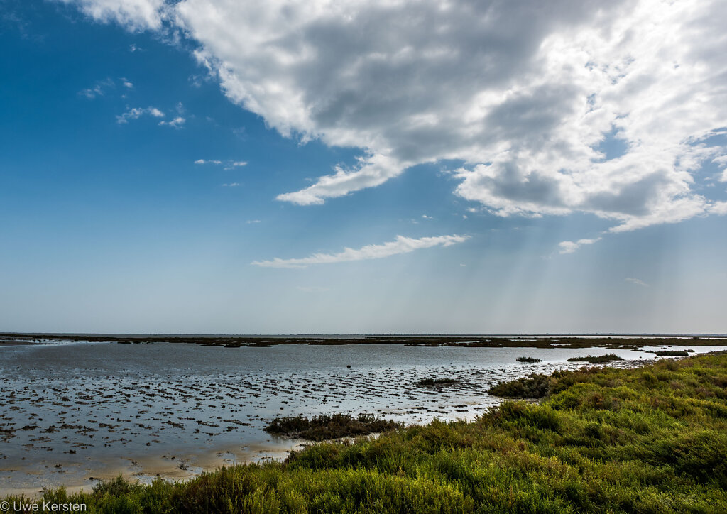 Camargue