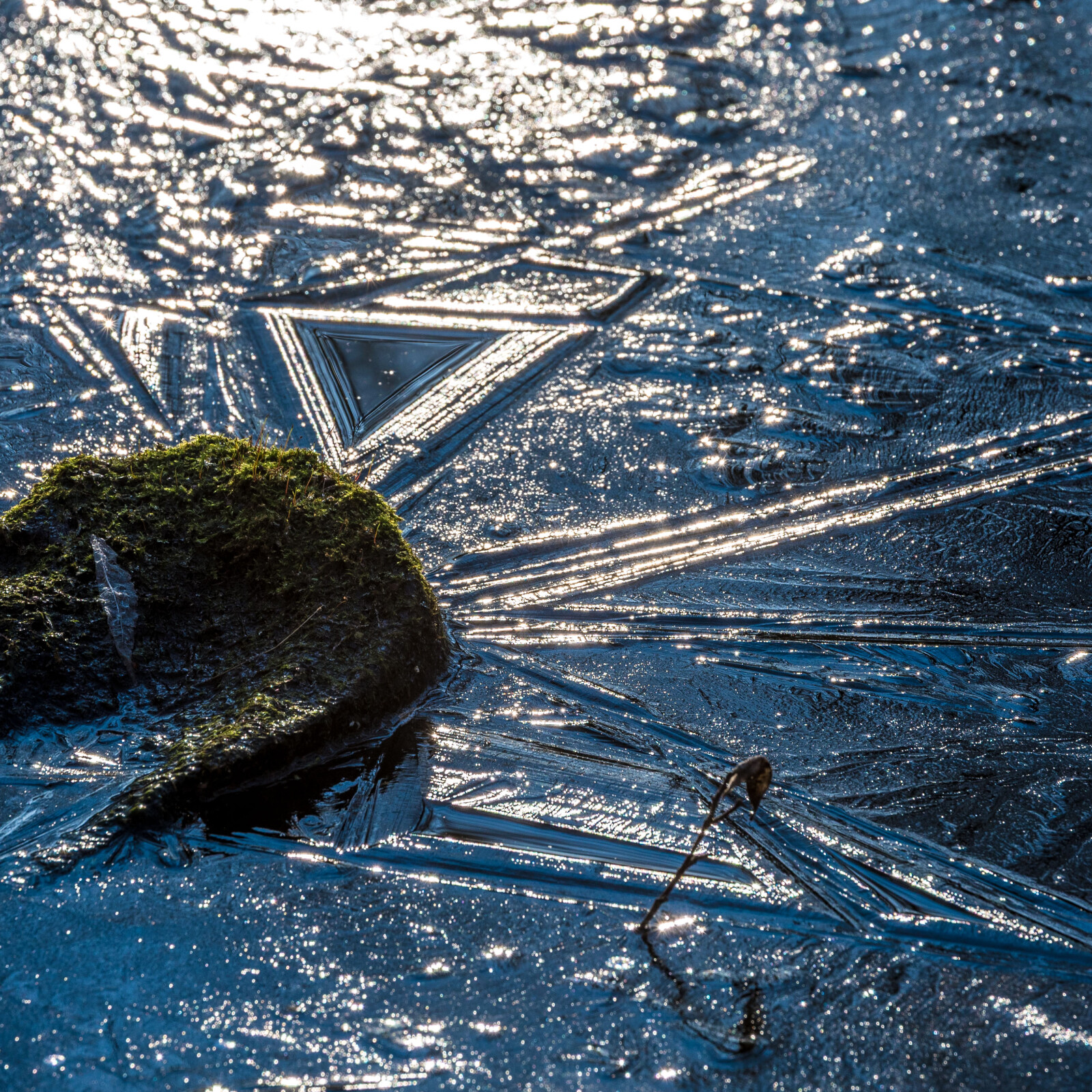 Tümpel bei Gundelfingen