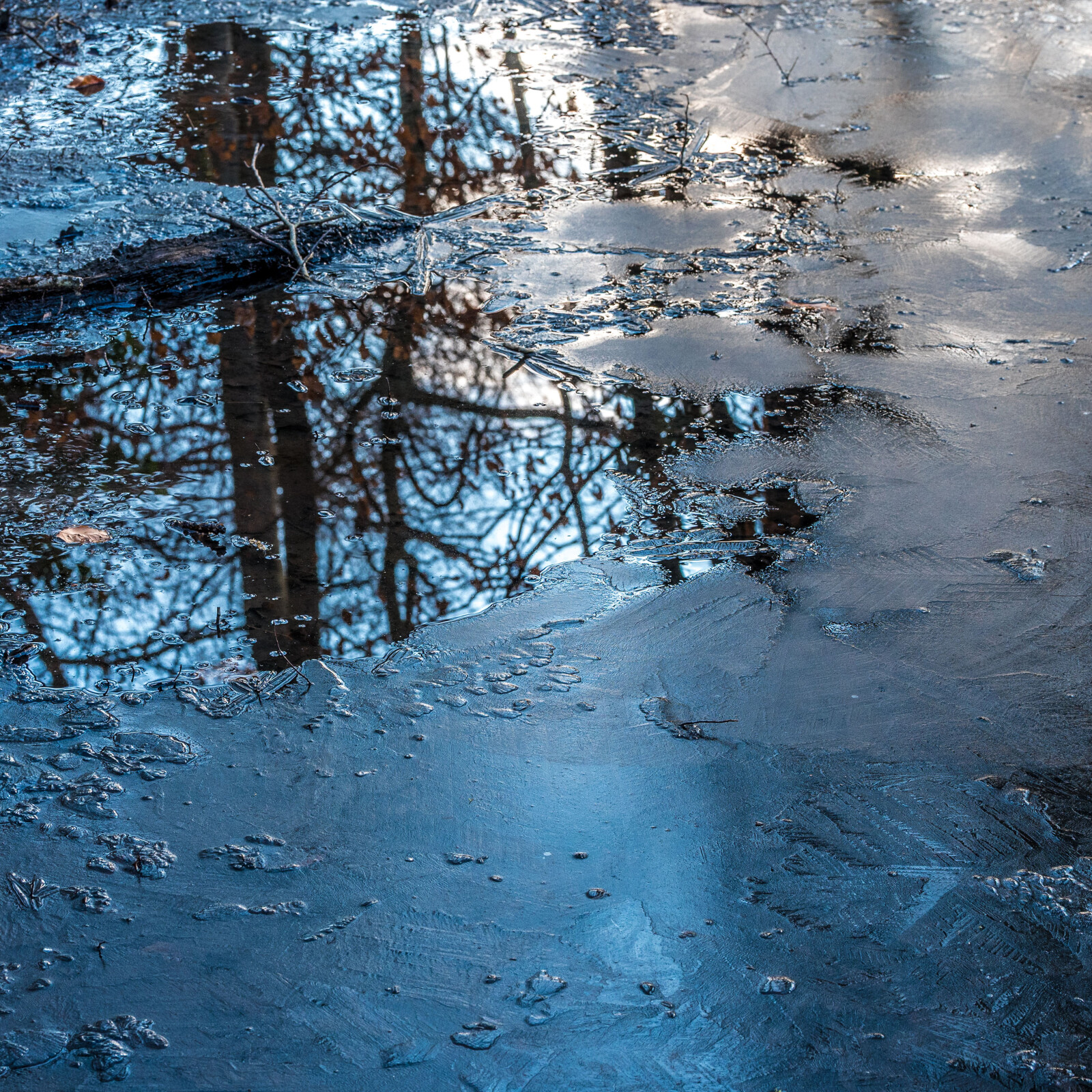 Tümpel bei Gundelfingen