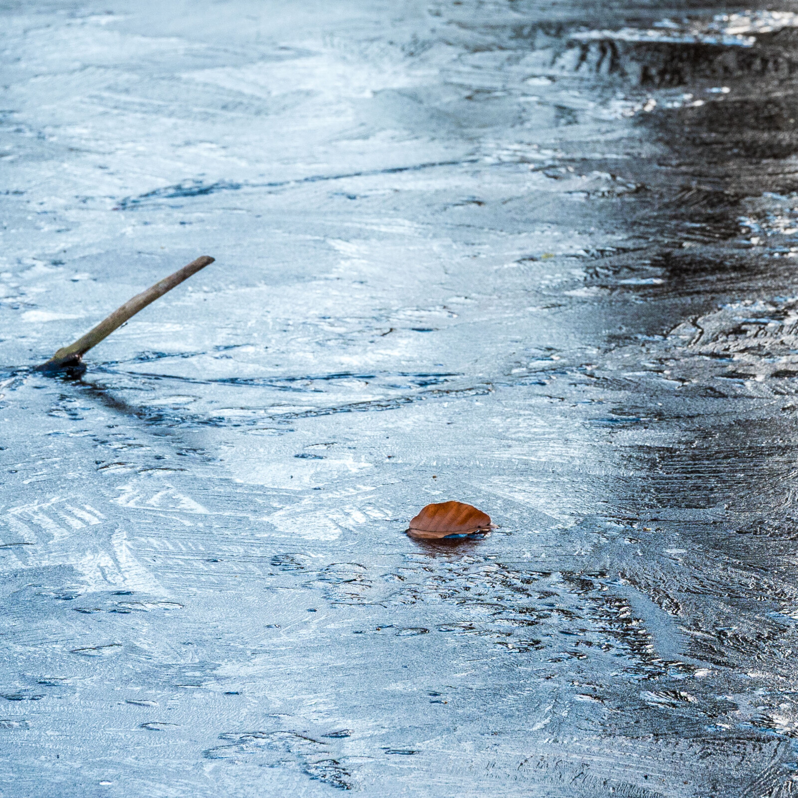 Tümpel bei Gundelfingen