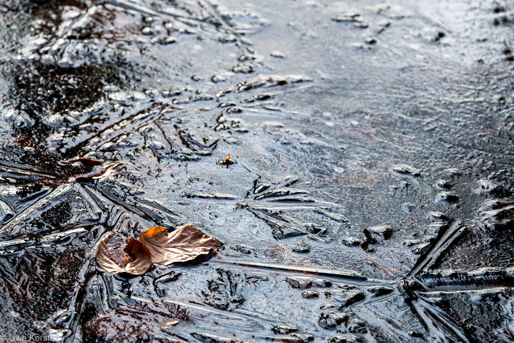 Tümpel im Winter