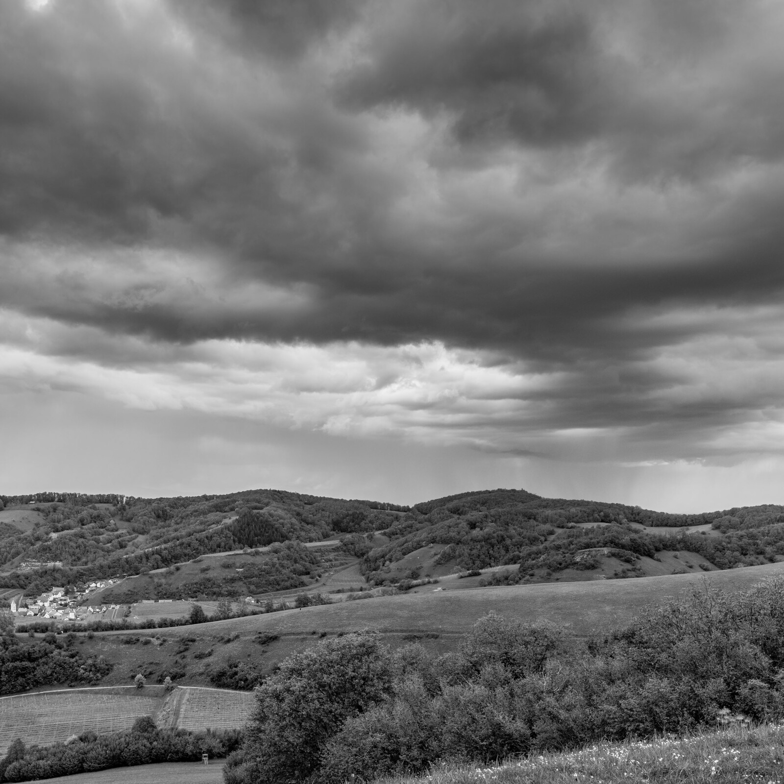 Blick vom Haselschacher Buck Richtung Schelingen