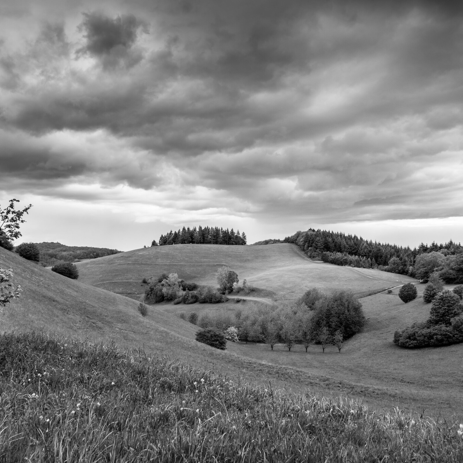 Blick vom Haselschacher Buck nordwärts Richtung Schelinger Matten